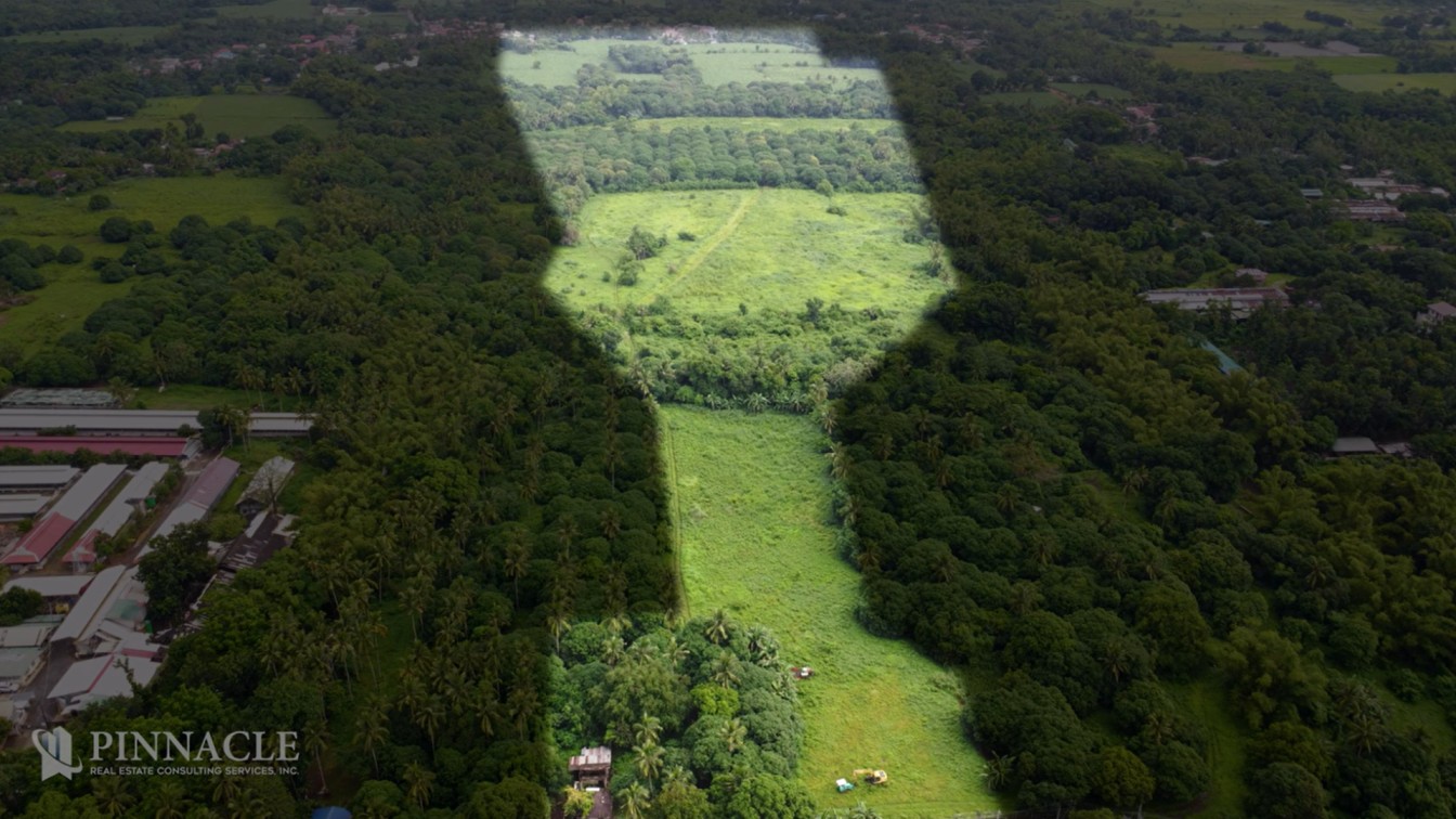 Lot for sale in Ibaan, Batangas